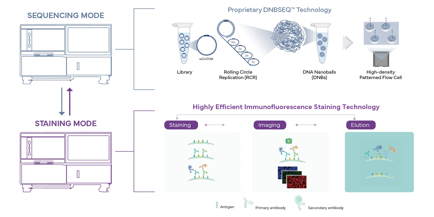 DNBSEQ-G400-FluoXpert-Modes-Complete-Genomics