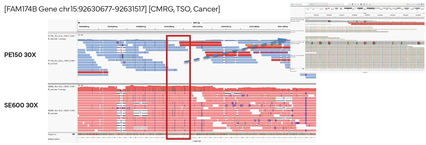 DNBSEQ-G800-tendem-repeated-region-complete-genomics