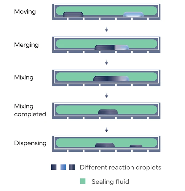 DNBelab-D4-sample-preparation