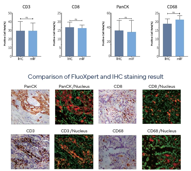 FluoXpert-Staining-Results-Complete-Genomics