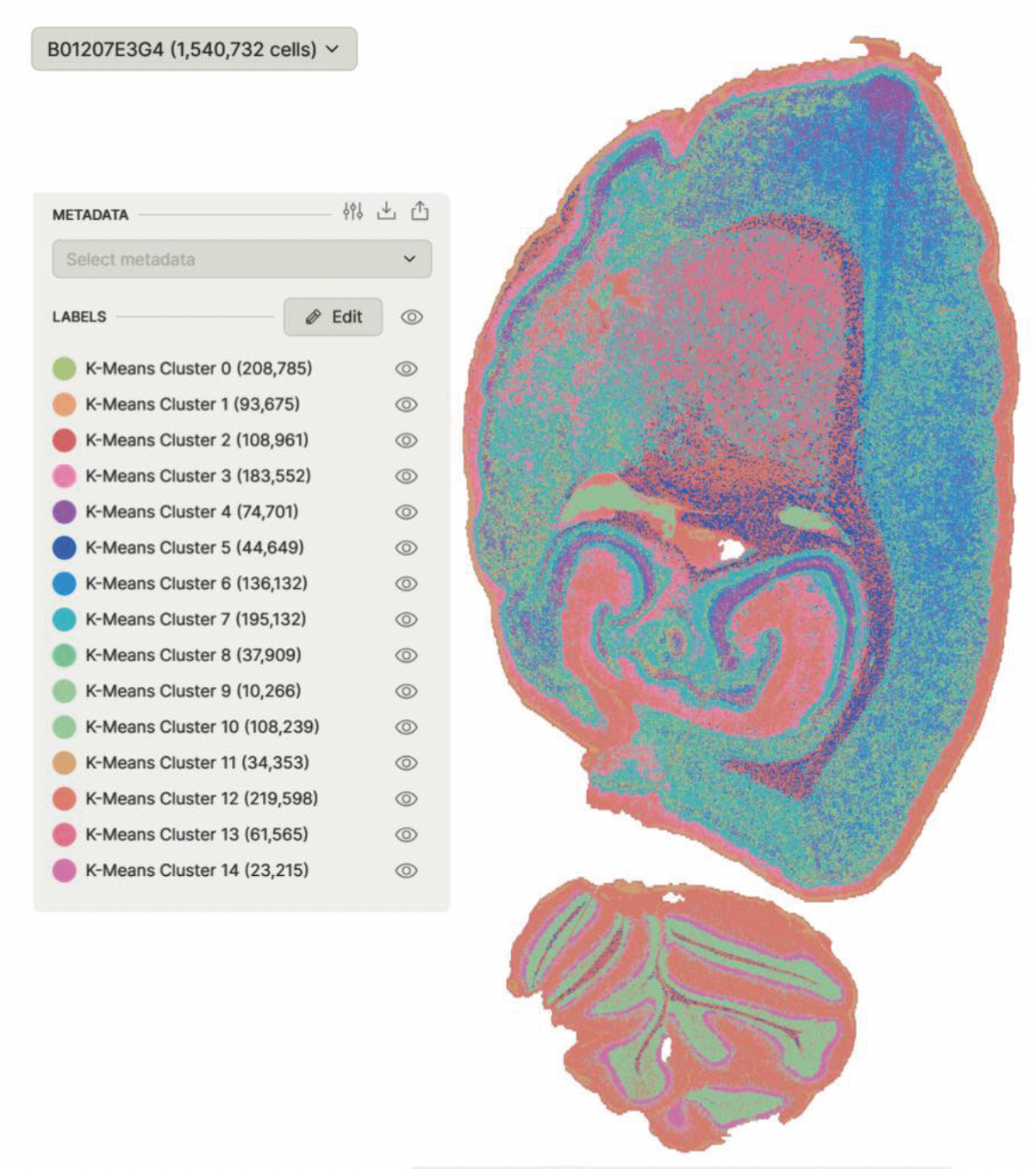 Spatial_BioTuring_FF_Brain