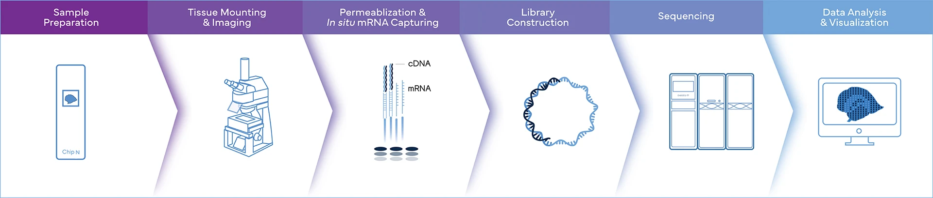 Stereo-Seq-OMNI-Workflow-Complete-genomics