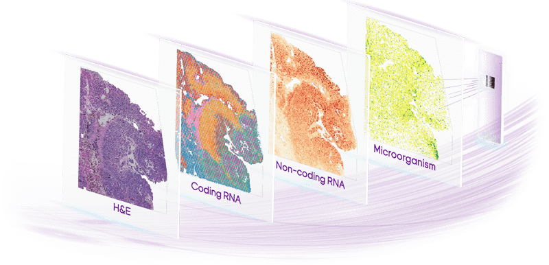 Stereo-seq-OMNI-complete-genomics-min