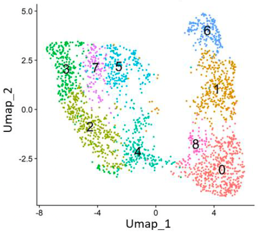 SingleCell_10xGenonmics_RNAsequencing_T7