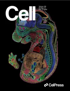 cell-stereo-seq-complete-genomics