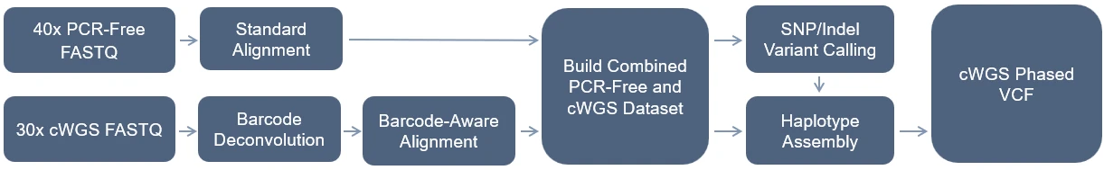 complete-wgs-pipeline-graph-complete-genomics