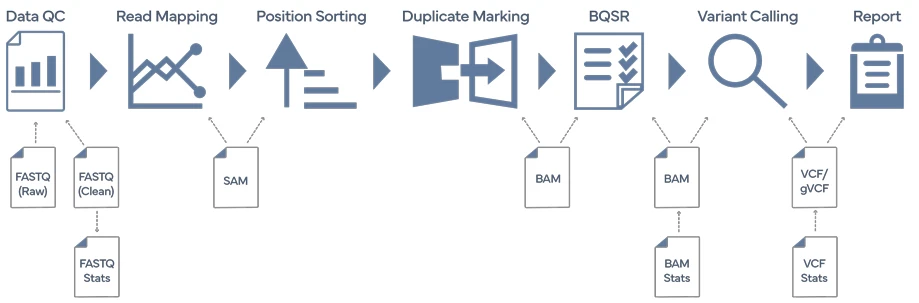 megabolt-workflow-complete-genomics