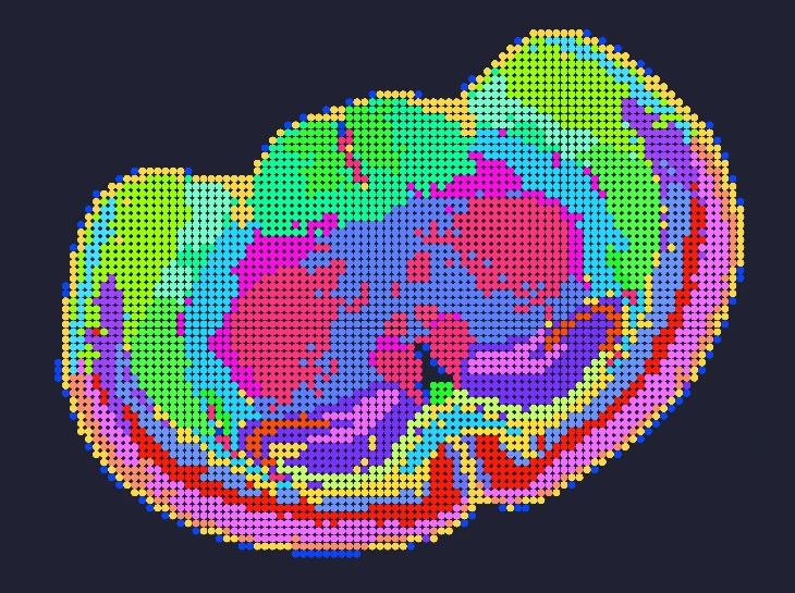 mouse-brain-bin200-clustering-stereo-seq-omni