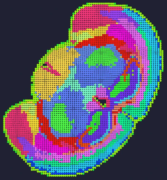 mouse-brain-clustering-stereo-seq-omni