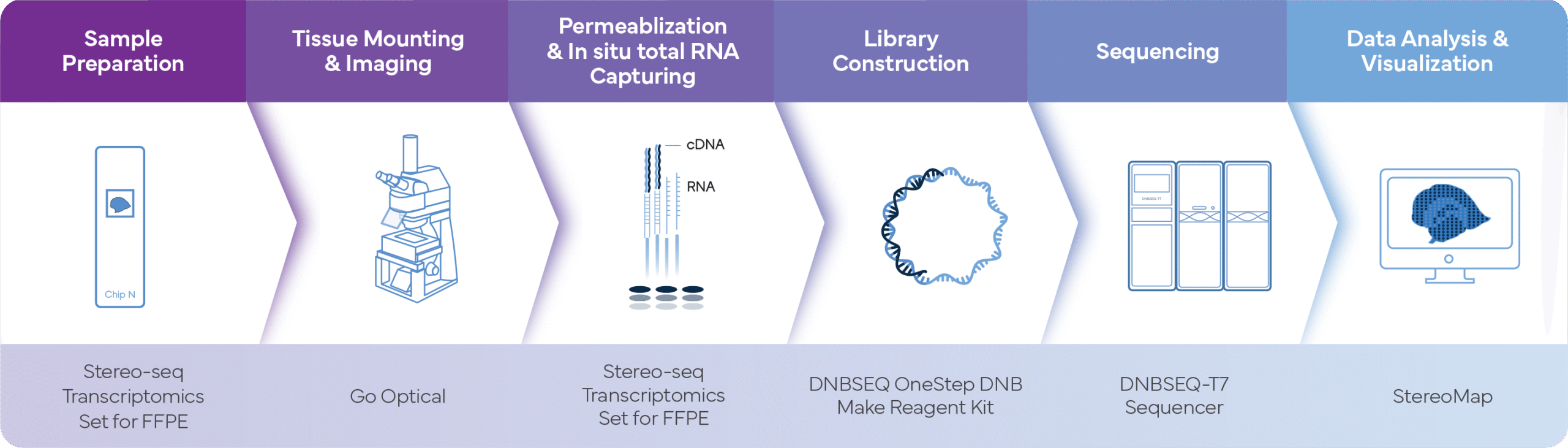 Stereo-seq FFPE Omni Workflow
