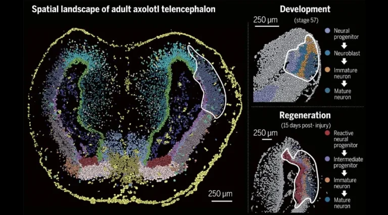 spatial-transcriptomics-science-publication