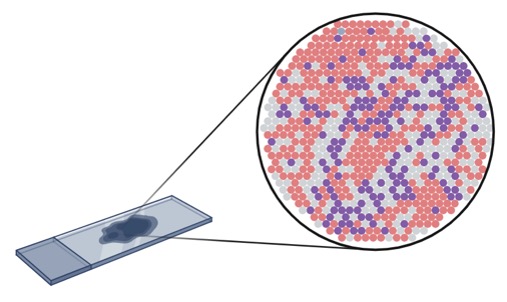 spatial-transcriptomics-spatial-information